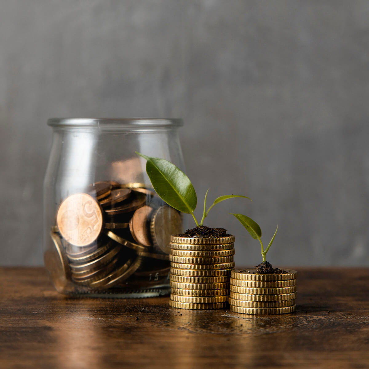 Financial Advice