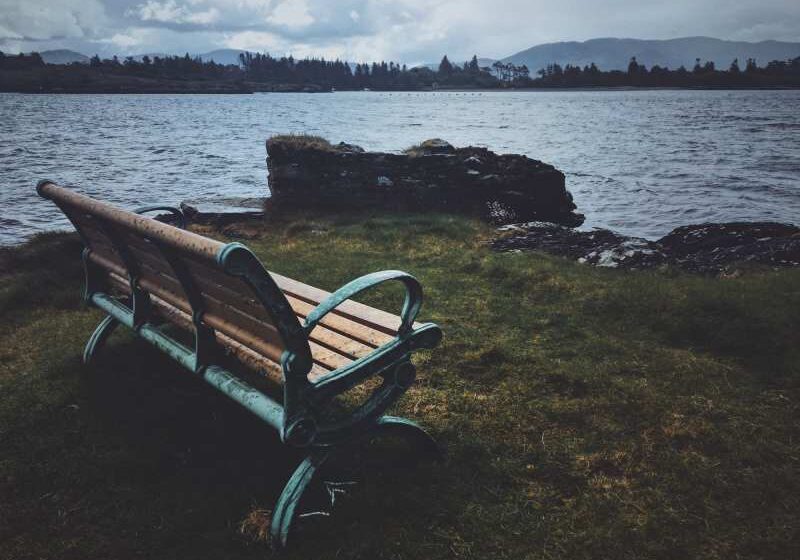 Bench near a cliff with a view of the sea and forest
